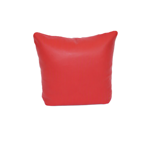 Red Leather Pillow